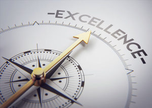 Excellence Compass